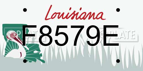 F8579E Louisiana License Plate