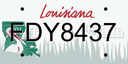 FDY8437 Louisiana License Plate