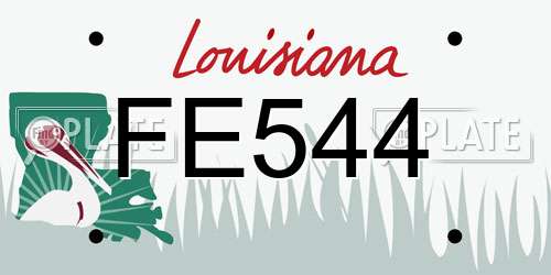 FE544 Louisiana License Plate