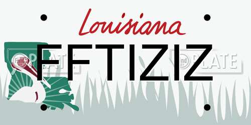 FFTIZIZ Louisiana License Plate