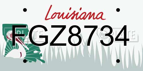 FGZ8734 Louisiana License Plate