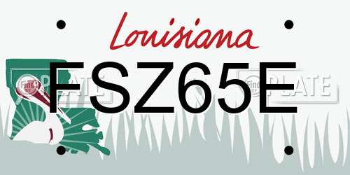FSZ65E Louisiana License Plate