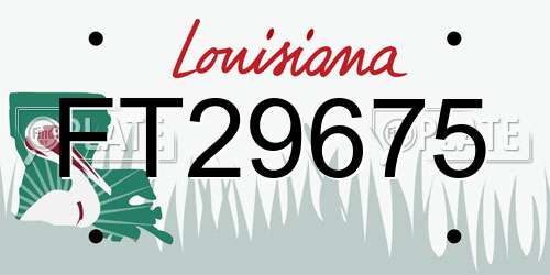 FT29675 Louisiana License Plate