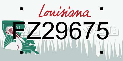 FZ29675 Louisiana License Plate