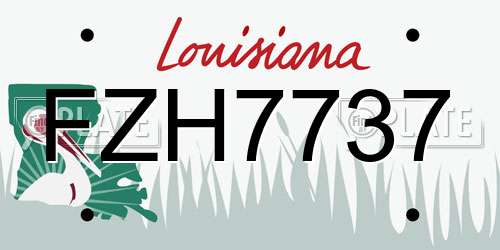 FZH7737 Louisiana License Plate
