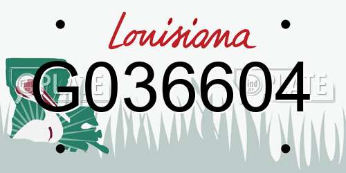 G036604 Louisiana License Plate