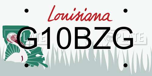 G10BZG Louisiana License Plate