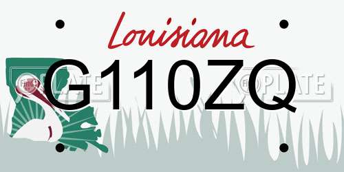 G110ZQ Louisiana License Plate