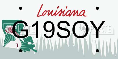 G19SOY Louisiana License Plate