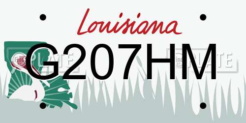 G207HM Louisiana License Plate