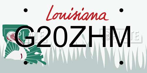 G20ZHM Louisiana License Plate