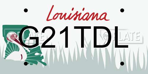 G21TDL Louisiana License Plate