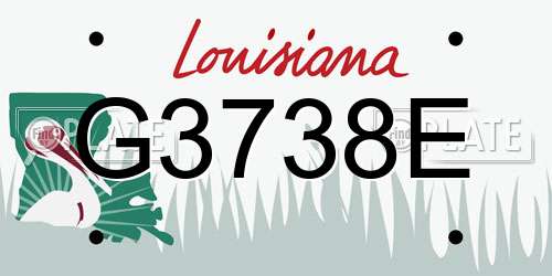 G3738E Louisiana License Plate