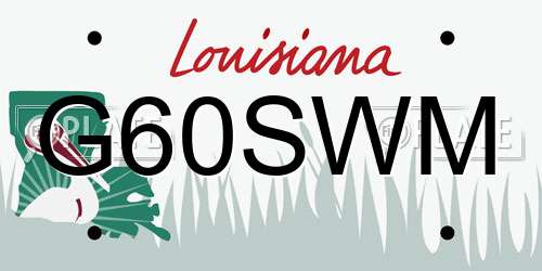 G60SWM Louisiana License Plate