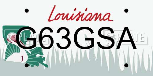 G63GSA Louisiana License Plate