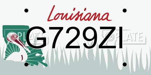 G729ZI Louisiana License Plate