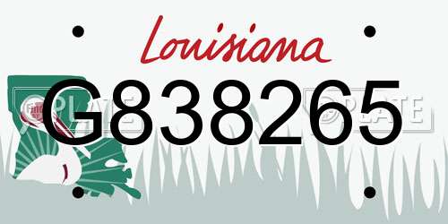 G838265 Louisiana License Plate