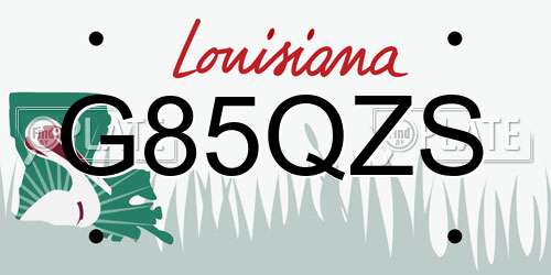 G85QZS Louisiana License Plate