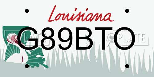 G89BTO Louisiana License Plate