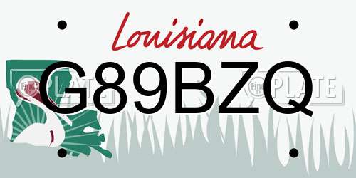 G89BZQ Louisiana License Plate