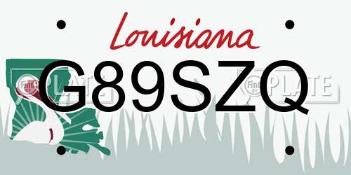 G89SZQ Louisiana License Plate