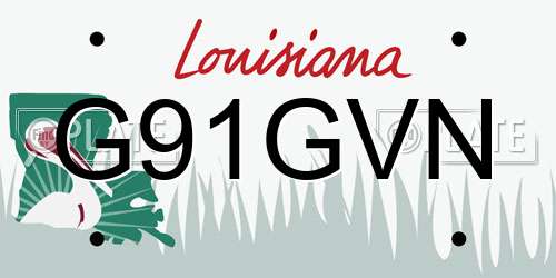 G91GVN Louisiana License Plate
