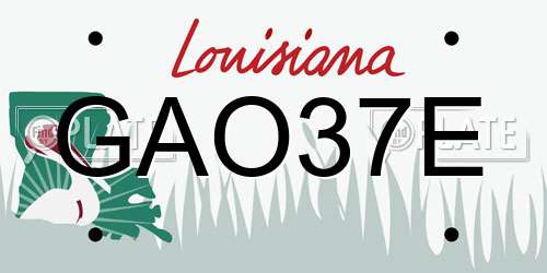 GAO37E Louisiana License Plate