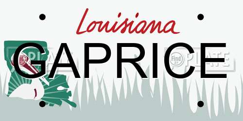GAPRICE Louisiana License Plate