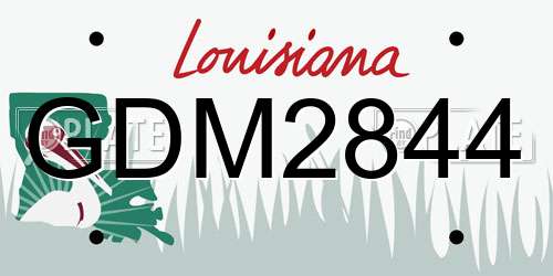 GDM2844 Louisiana License Plate