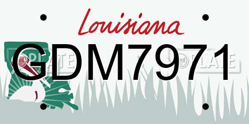 GDM7971 Louisiana License Plate