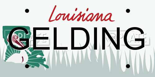 GELDING Louisiana License Plate
