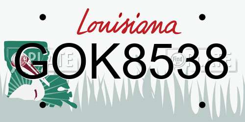 GOK8538 Louisiana License Plate