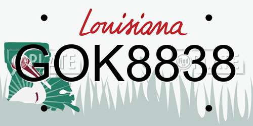 GOK8838 Louisiana License Plate