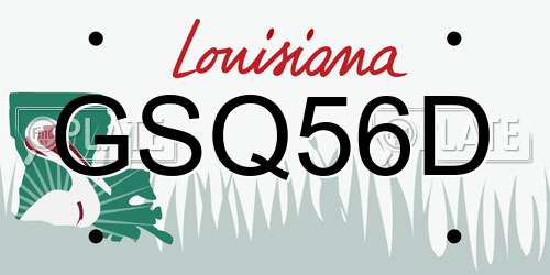 GSQ56D Louisiana License Plate