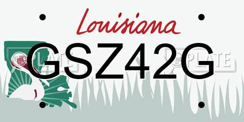 GSZ42G Louisiana License Plate