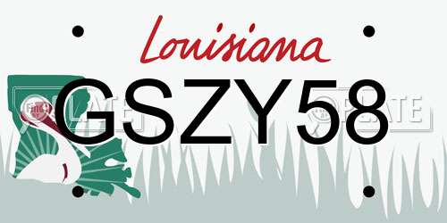 GSZY58 Louisiana License Plate