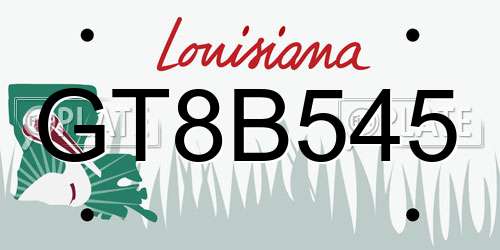 GT8B545 Louisiana License Plate