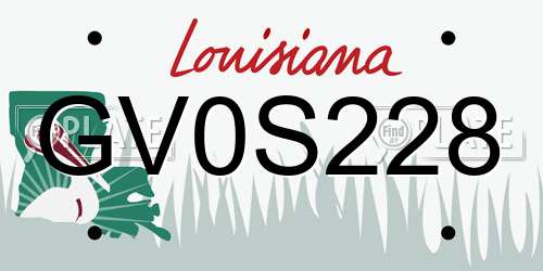 GV0S228 Louisiana License Plate