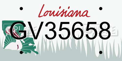 GV35658 Louisiana License Plate