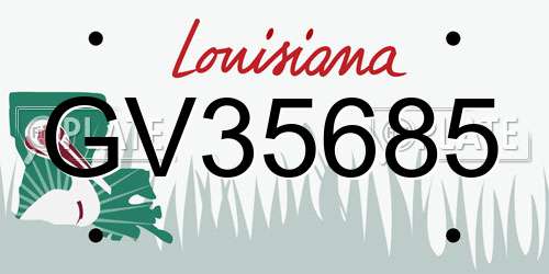 GV35685 Louisiana License Plate