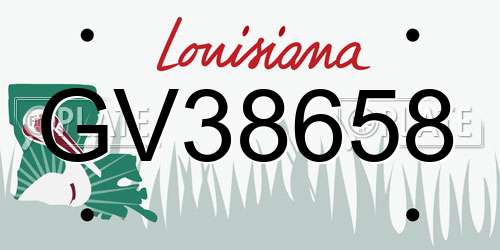 GV38658 Louisiana License Plate