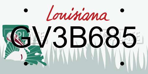 GV3B685 Louisiana License Plate