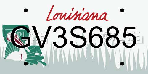 GV3S685 Louisiana License Plate