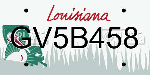 GV5B458 Louisiana License Plate