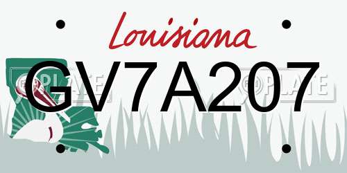 GV7A207 Louisiana License Plate