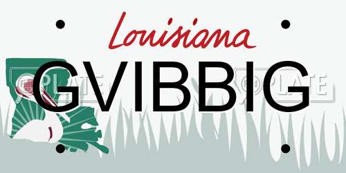 GVIBBIG Louisiana License Plate