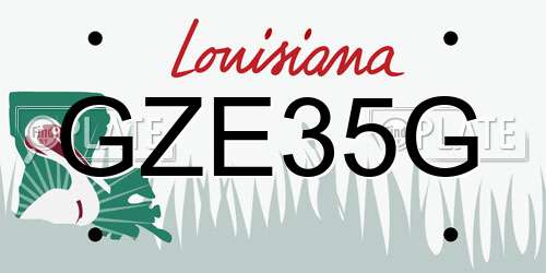 GZE35G Louisiana License Plate
