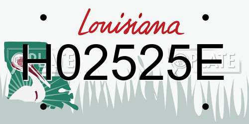 H02525E Louisiana License Plate