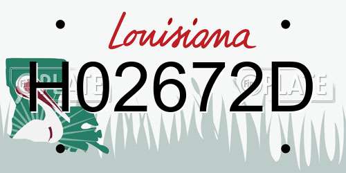 H02672D Louisiana License Plate