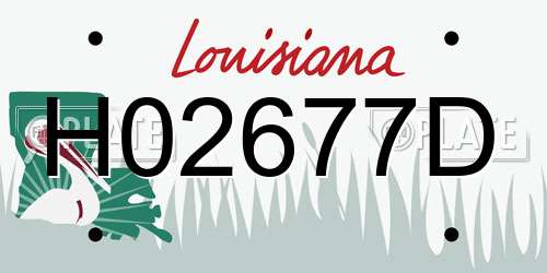 H02677D Louisiana License Plate